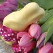 Pinke Tulpen und Osterhase mit Schleife