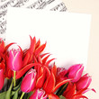 red tulips with music sheet page