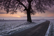 Wintery Roads At Sunset B
