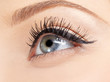 eye zone makeup