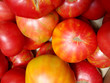 Big Juicy Tomatoes