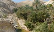 Photo: Wadi Qelt creek in Judean Desert in spring Wadi Qelt creek in Judean Desert in spring