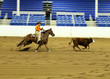 Rodeo