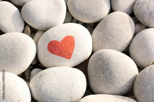 Photo: Little Heart Little Heart