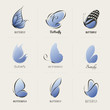 Butterfly. Collection of design elements. Vector illustration.