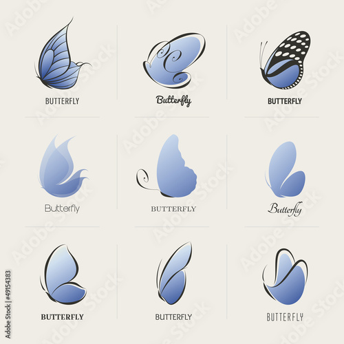 Vector: Butterfly. Collection of design elements. Vector illustration. Butterfly. Collection of design elements. Vector illustration.