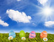 bunte Ostereier auf Rasen (IV)