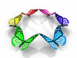 the beautiful butterfly with wings