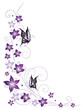 Ranke, flora, Blüten, Schmetterlinge, lila, violett