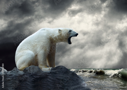 Photo: White Polar Bear Hunter on the Ice in water drops. White Polar Bear Hunter on the Ice in water drops.