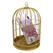Birdcage with Euro notes inside