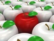3d apples background. Different. Concept