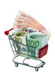 Shopping Cart with money