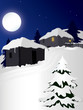 Two winter house