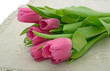 Photo: Tulips on linen Tulips on linen