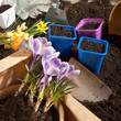 canvas print picture - gardening