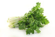 Foto: Stielmus Stielmus