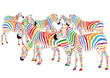 Farbenfrohe Zebras