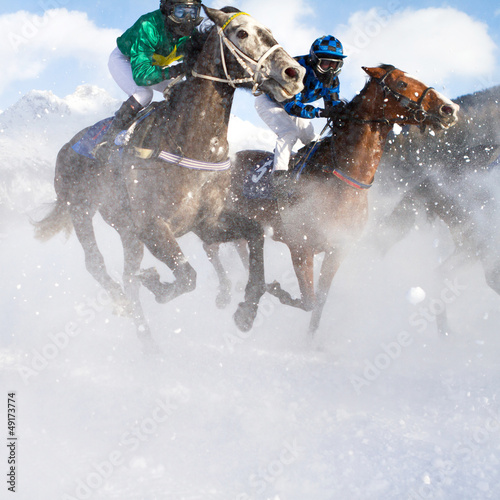 Photo: Horse Grand Prix Horse Grand Prix