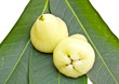 Rose apples or green chomphu on white background
