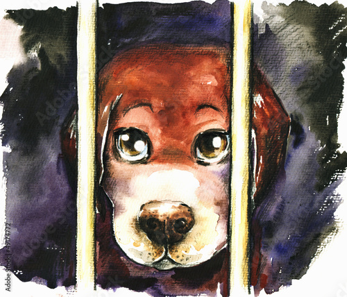 Illustration: A sad dog in an animal shelter waiting for adoption.Watercolors. A sad dog in an animal shelter waiting for adoption.Watercolors.