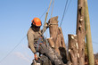 Man hanging from ropes