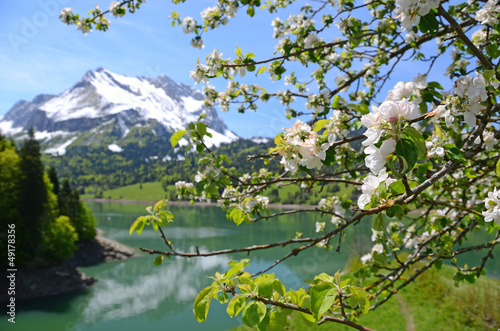 Photo: Spring in Switzerland Spring in Switzerland