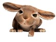 Rabbit. Point the finger at