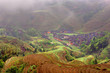 The Jinkeng Hongyao Rice Terraces Scenic Area.