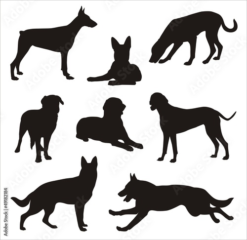 Vector: Dogs silhouette 2 Dogs silhouette 2