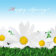 happy spring