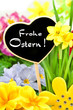 Frohe Ostern !