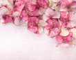 Hydrangea flower petals on  fabric background