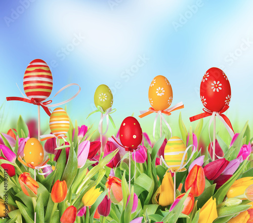 Photo: Easter tulips with colored eggs Easter tulips with colored eggs