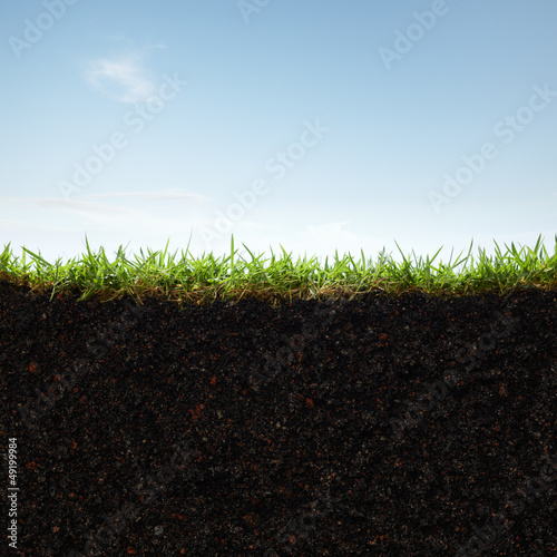 Photo: grass and soil grass and soil