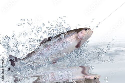 Photo: Fische 121 Fische 121