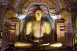 Buddha statue in Dambulla Cave Temple, Sri Lanka