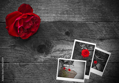Photo: Red rose on a rustic wooden background Red rose on a rustic wooden background