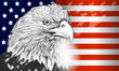 American flag and eagle symbol of USA ,independence and freedom