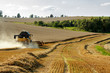 Yellov combine on field harvesting gold wheat