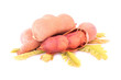 Tamarind