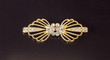 Photo: decoration on the white background decoration on the white background