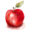Apple illustration