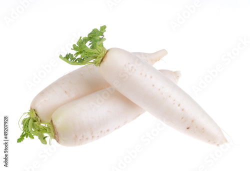 Photo: Daikon radishes isolated on white background Daikon radishes isolated on white background