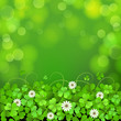 Vector: Saint Patrick's Day background with clover Saint Patrick's Day background with clover