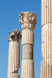 Corinthian columns in ancient Ephesus, Turkey