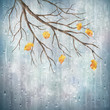 Vector: Vector autumn rain weather artistic natural design Vector autumn rain weather artistic natural design