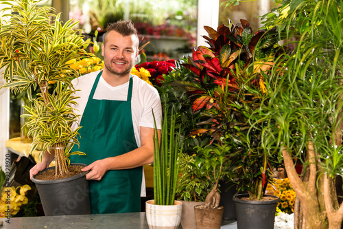 Photo: Male shop assistant potted plant flower working Male shop assistant potted plant flower working