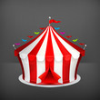 Circus