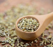 Fenchel